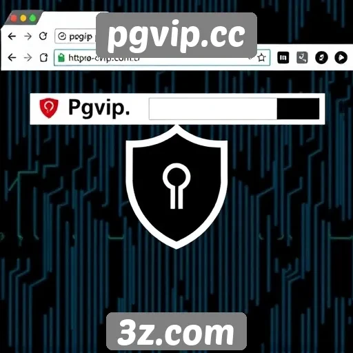 Análise da segurança do site pgvip.cc